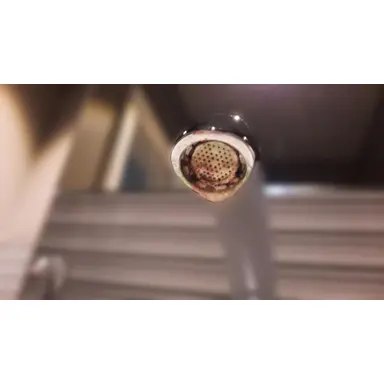 carousel image