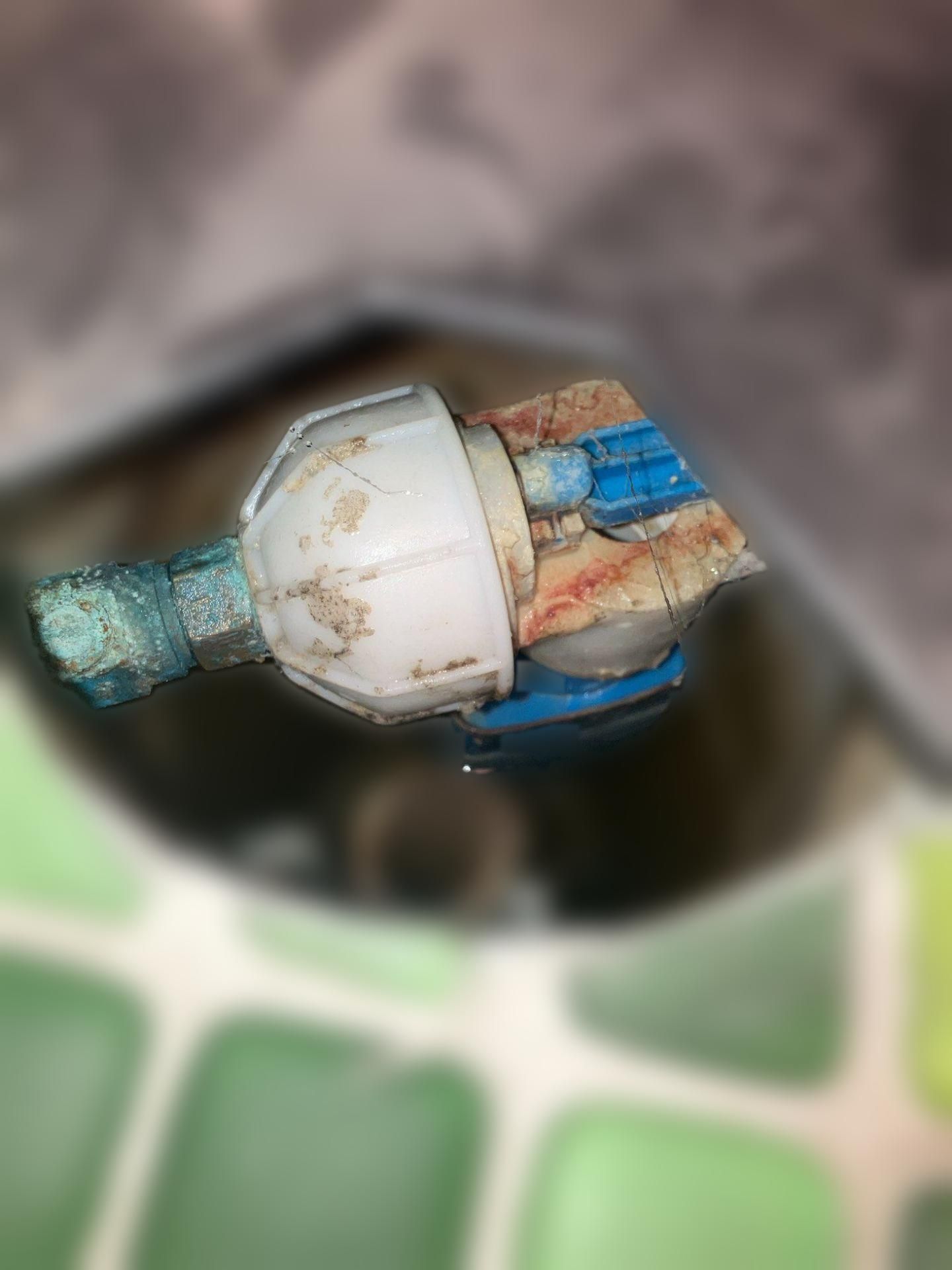 carousel image
