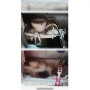 carousel image