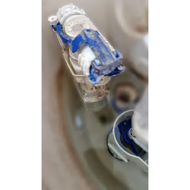 carousel image