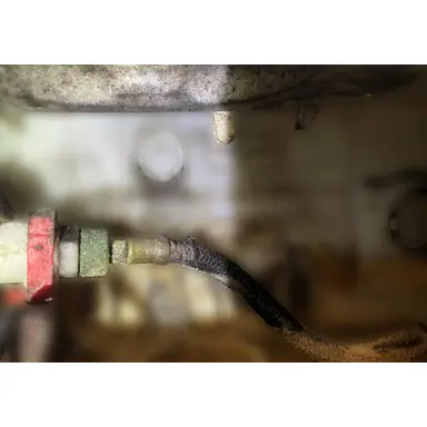 carousel image