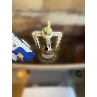 carousel image
