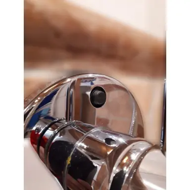 carousel image