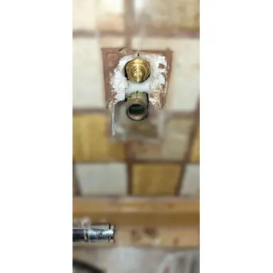 carousel image