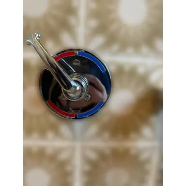 carousel image