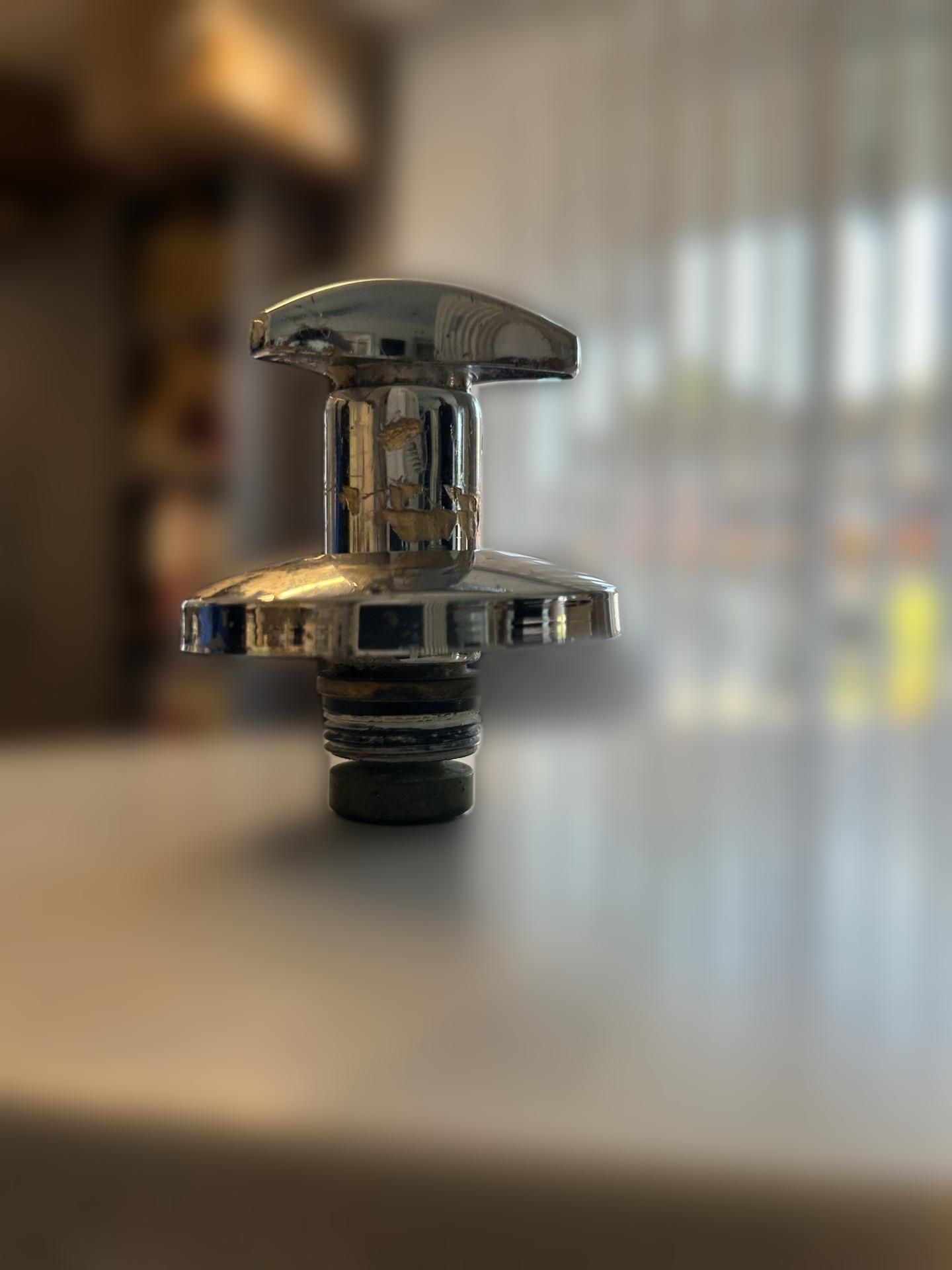 carousel image