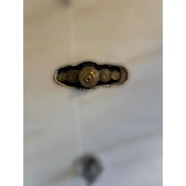 carousel image