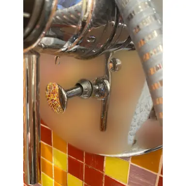 carousel image