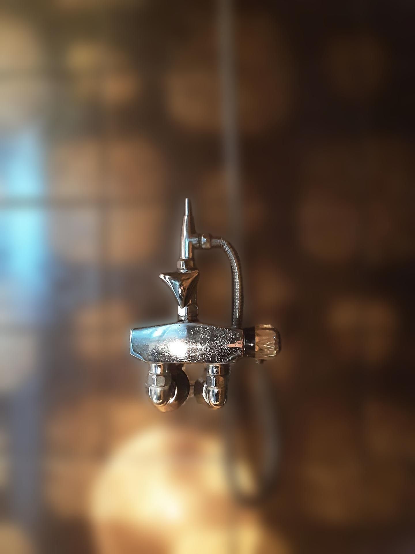 carousel image