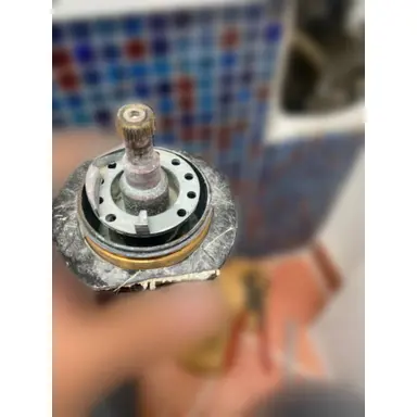 carousel image