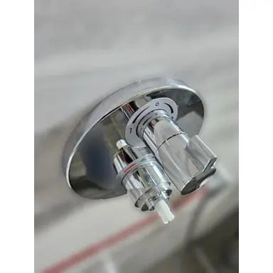 carousel image