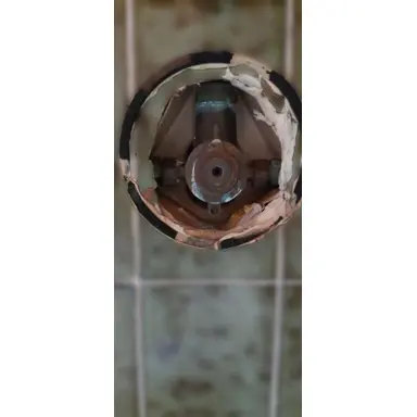 carousel image