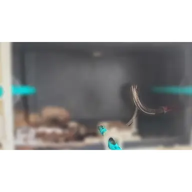 carousel image