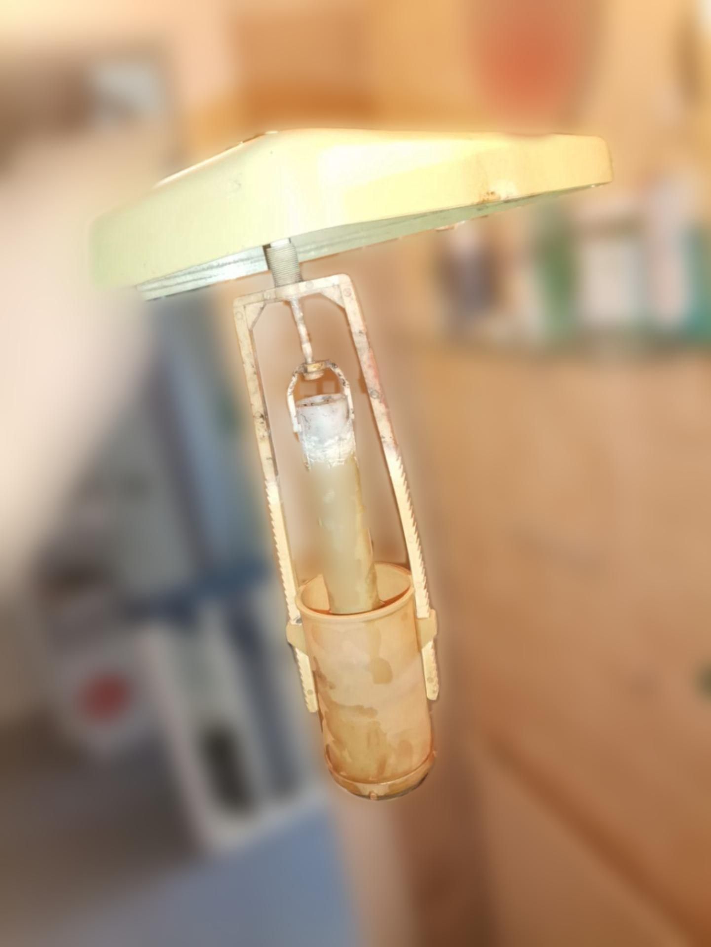 carousel image