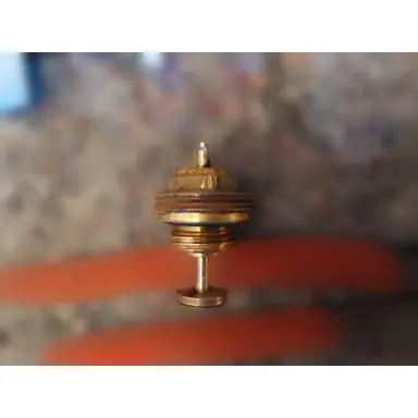 carousel image