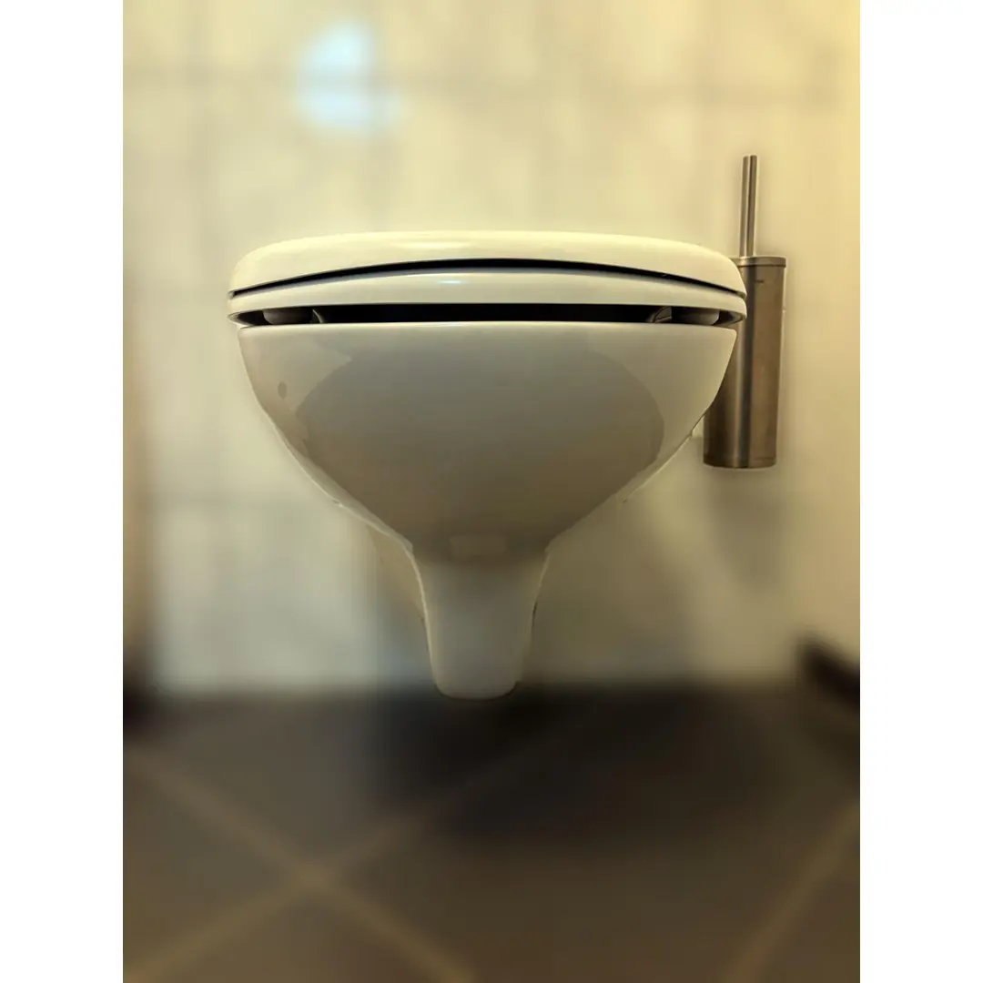 GE Renova Plan WC-Sitz, weiß Scharniere verchromt mit Absenkautomatik