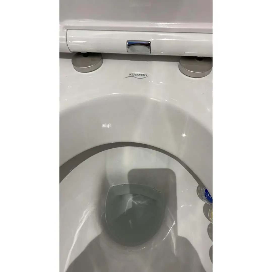 GE Renova WC-Sitz, Befestigung von oben mit Absenkautomatik, Quick Release, weiß
