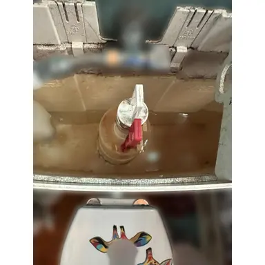carousel image
