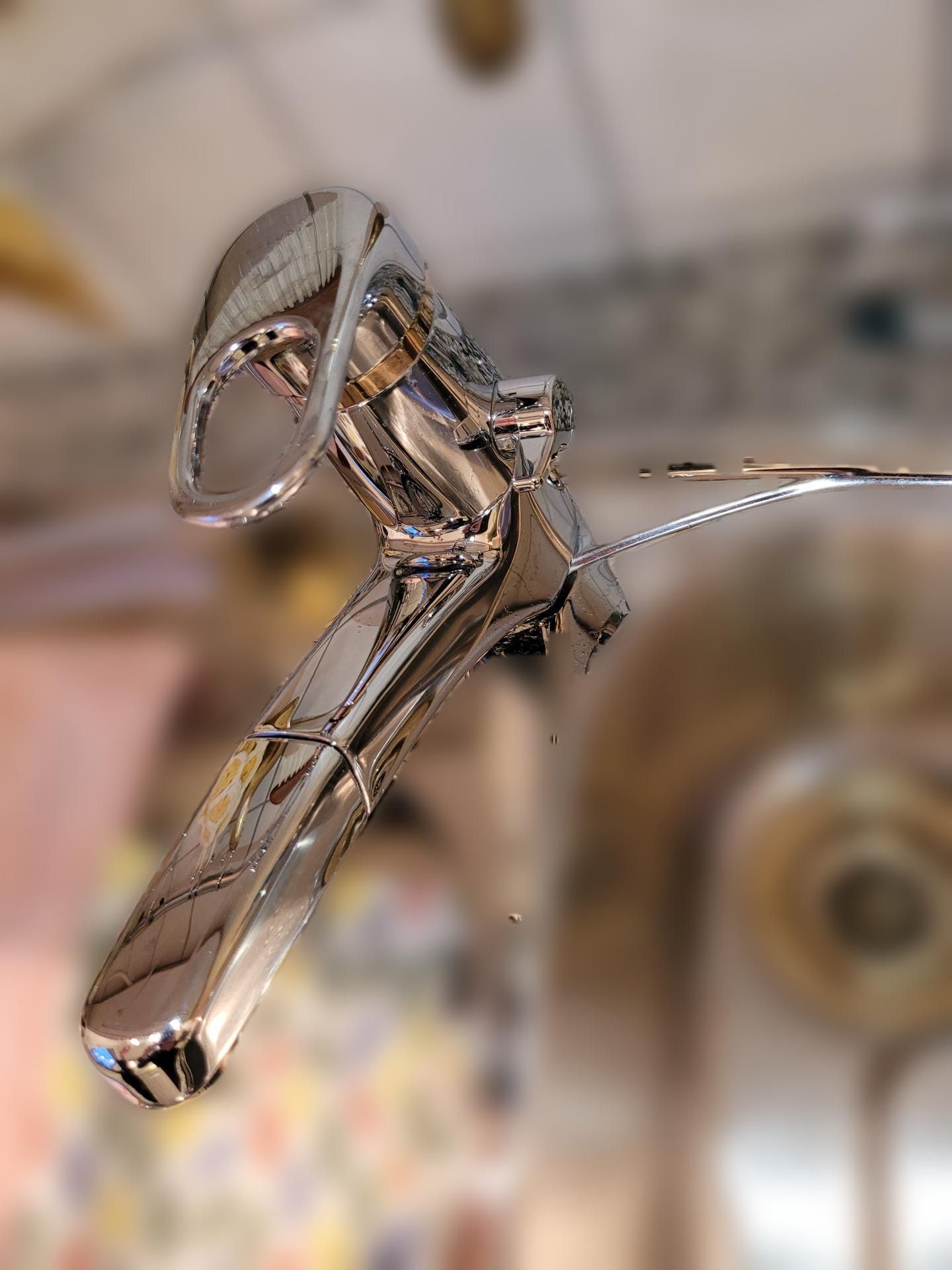 carousel image