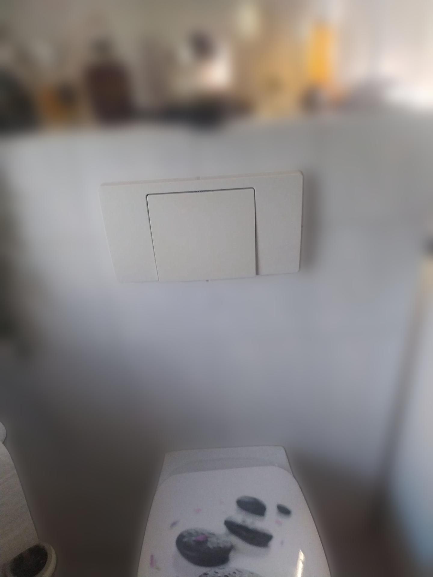 Cornat Betätigungsplatte