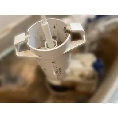 carousel image