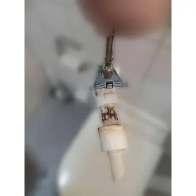 carousel image