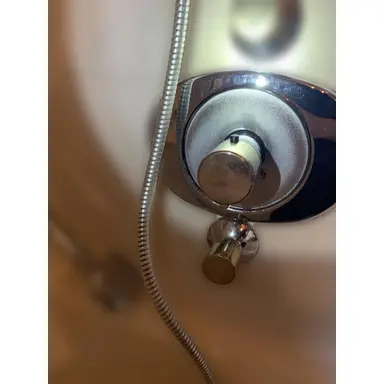 carousel image