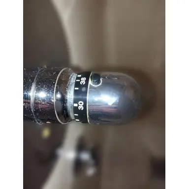 carousel image