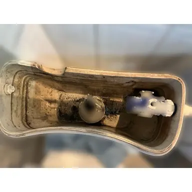 carousel image