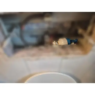 carousel image