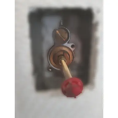 carousel image