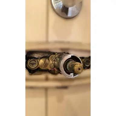 carousel image