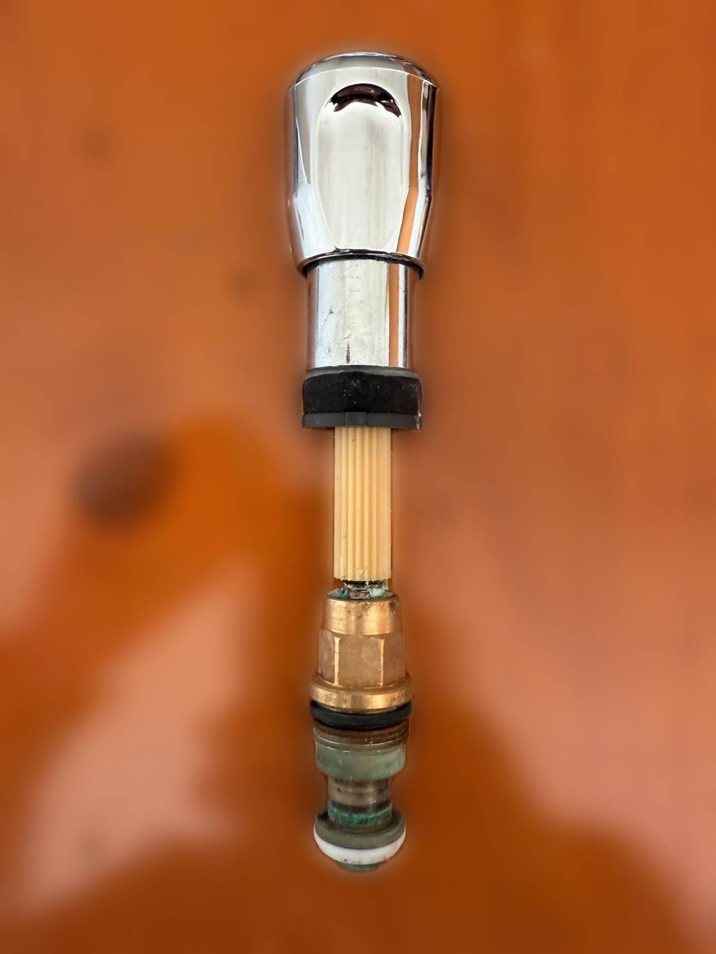 carousel image