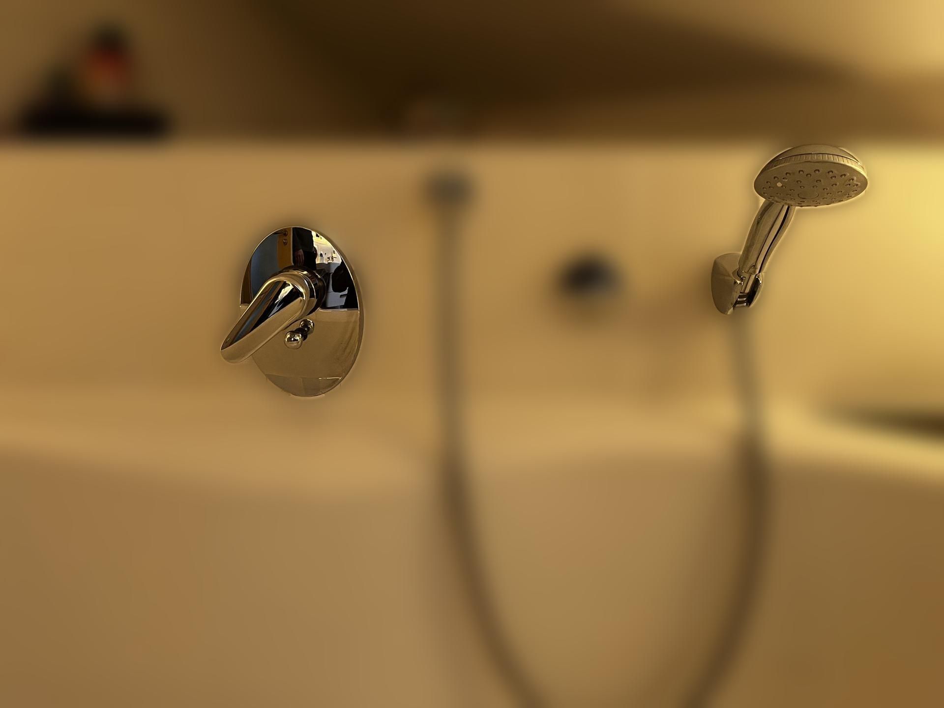 carousel image
