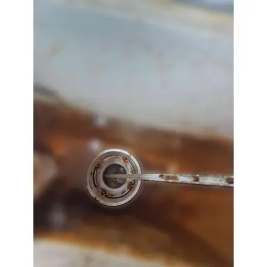 carousel image