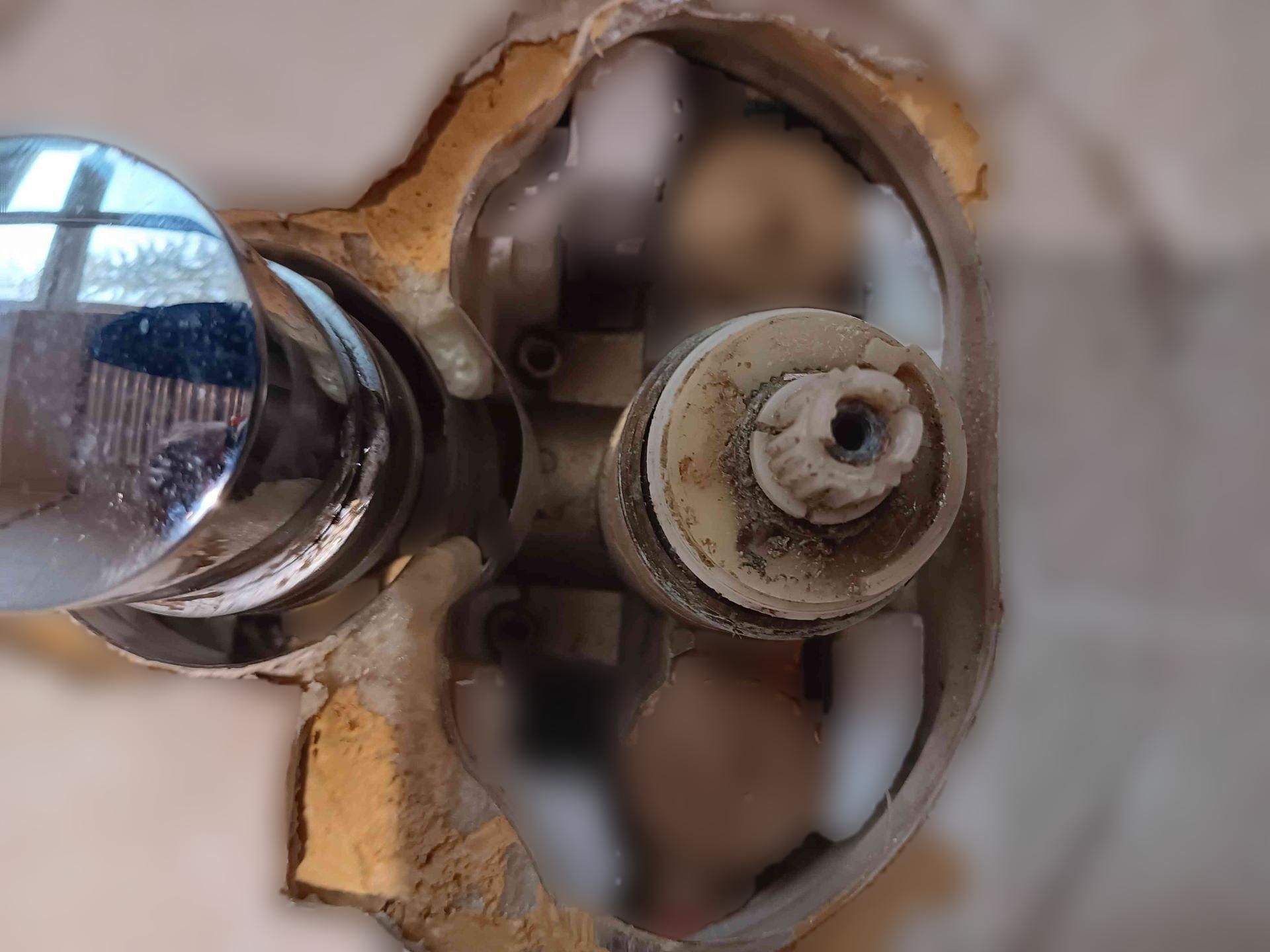 carousel image