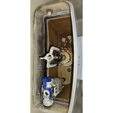 carousel image