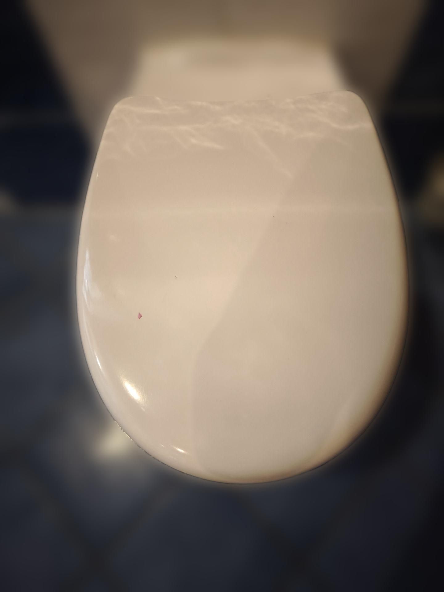 GE Typ SP26 Spülverteiler für WC