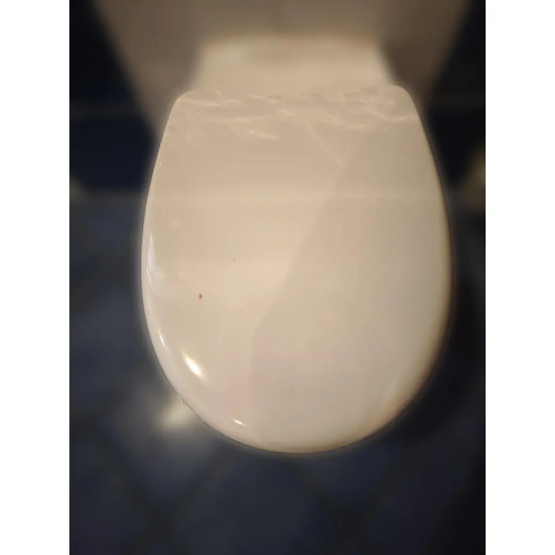 GE Typ SP26 Spülverteiler für WC