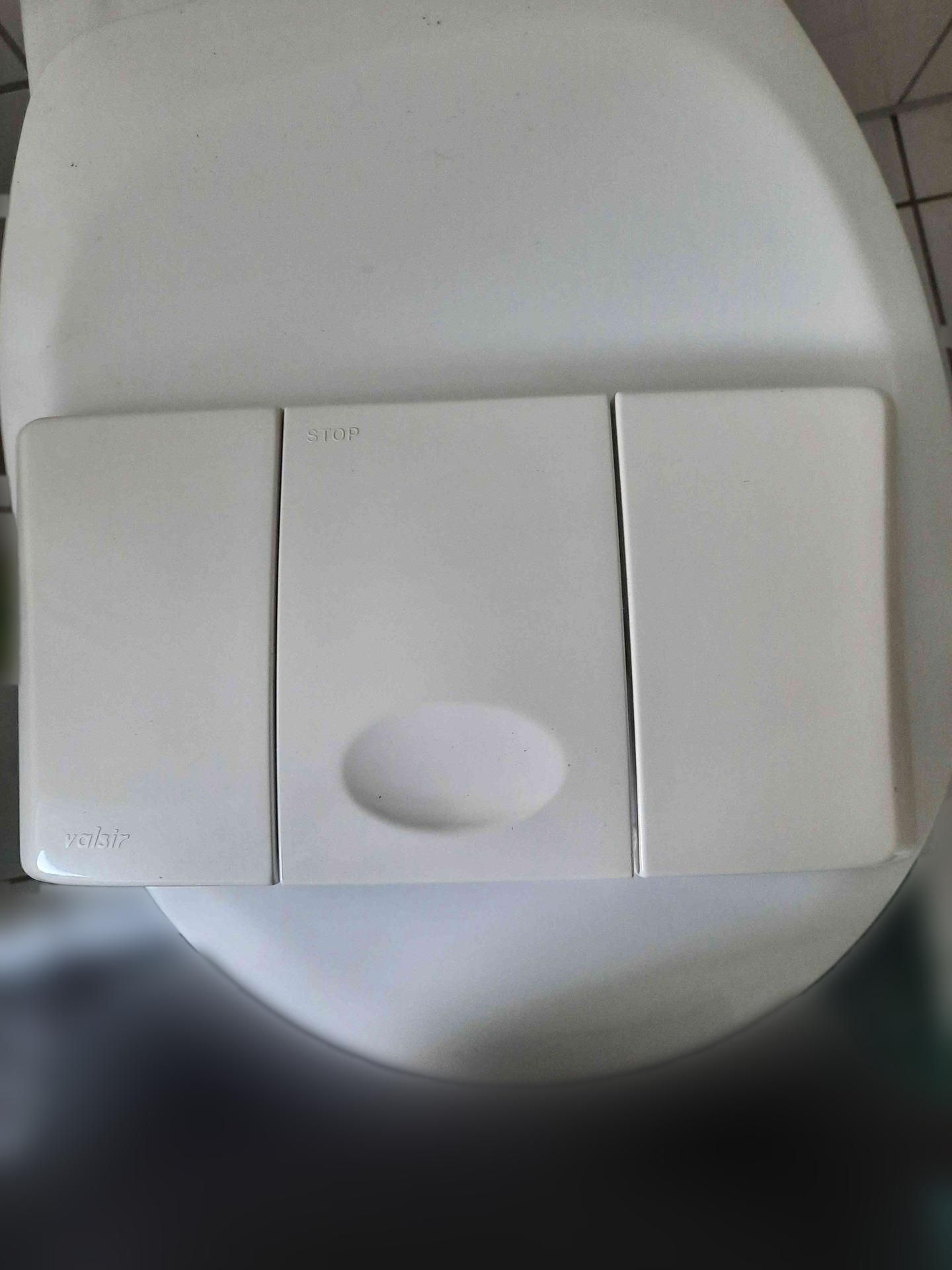 Betätigungsplatte Typ Angel, weiß, für Start-Stopp-Spülung