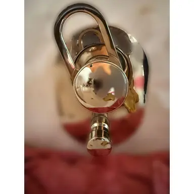 carousel image