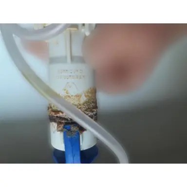 carousel image