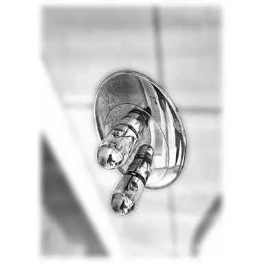 carousel image