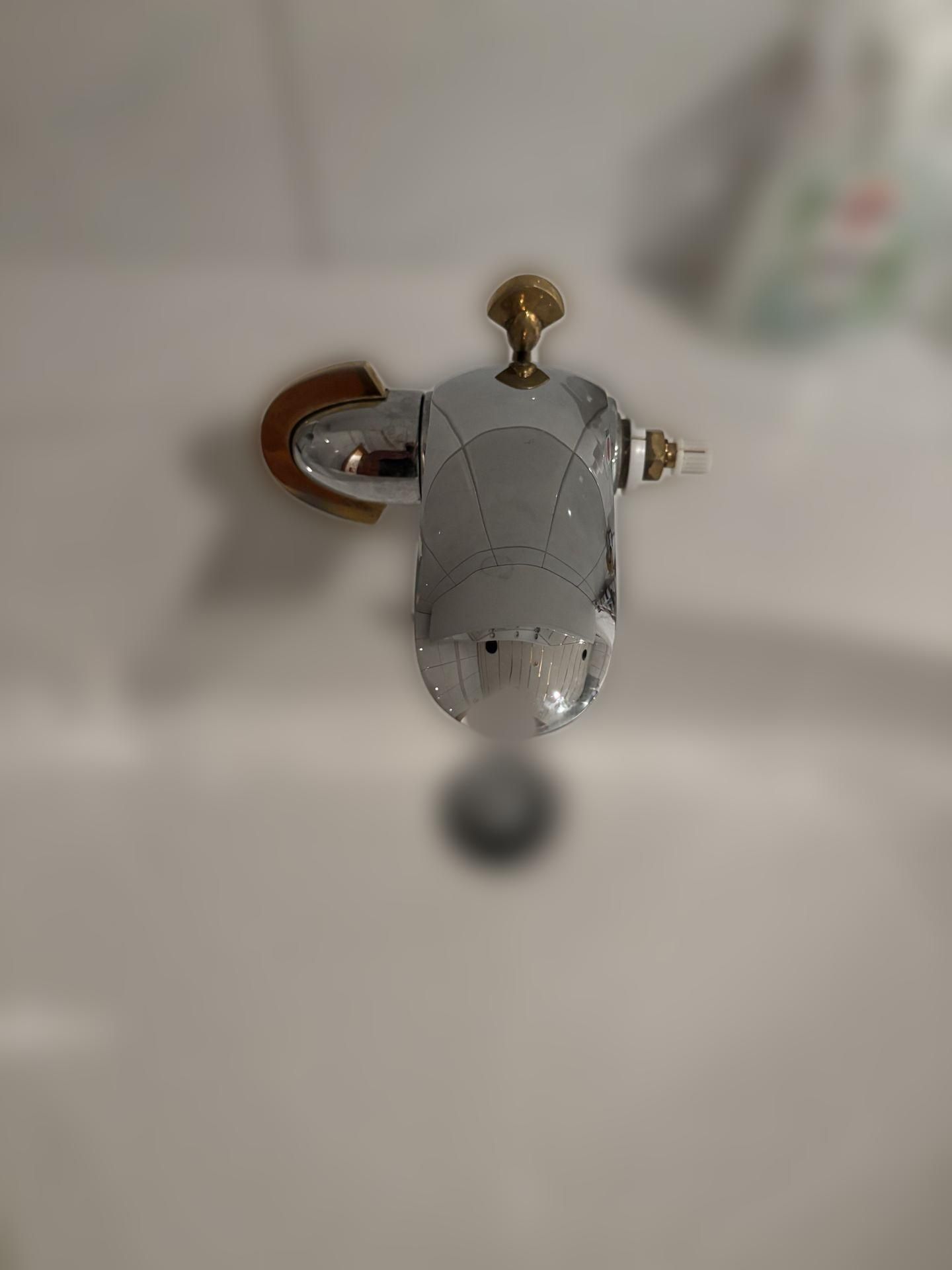 carousel image