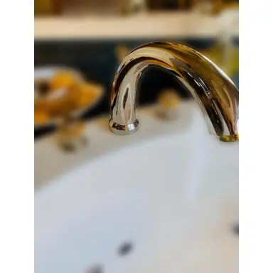 carousel image