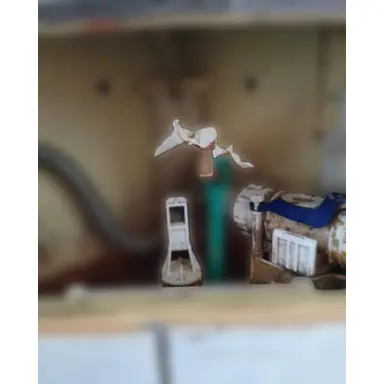 carousel image