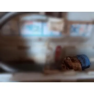 carousel image