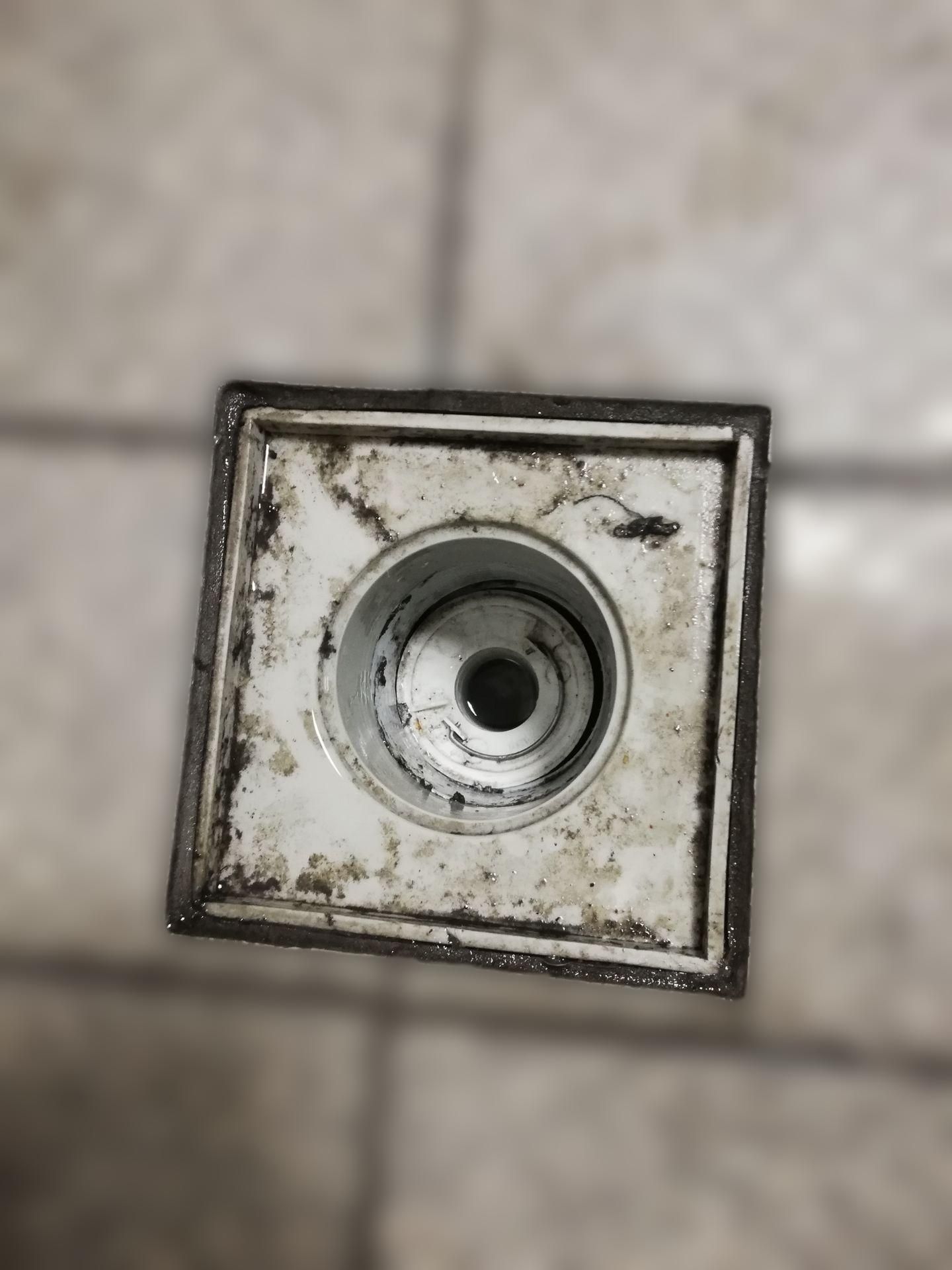 Rollring DN 63 für Geruchver- schlußeinsatz 41-47