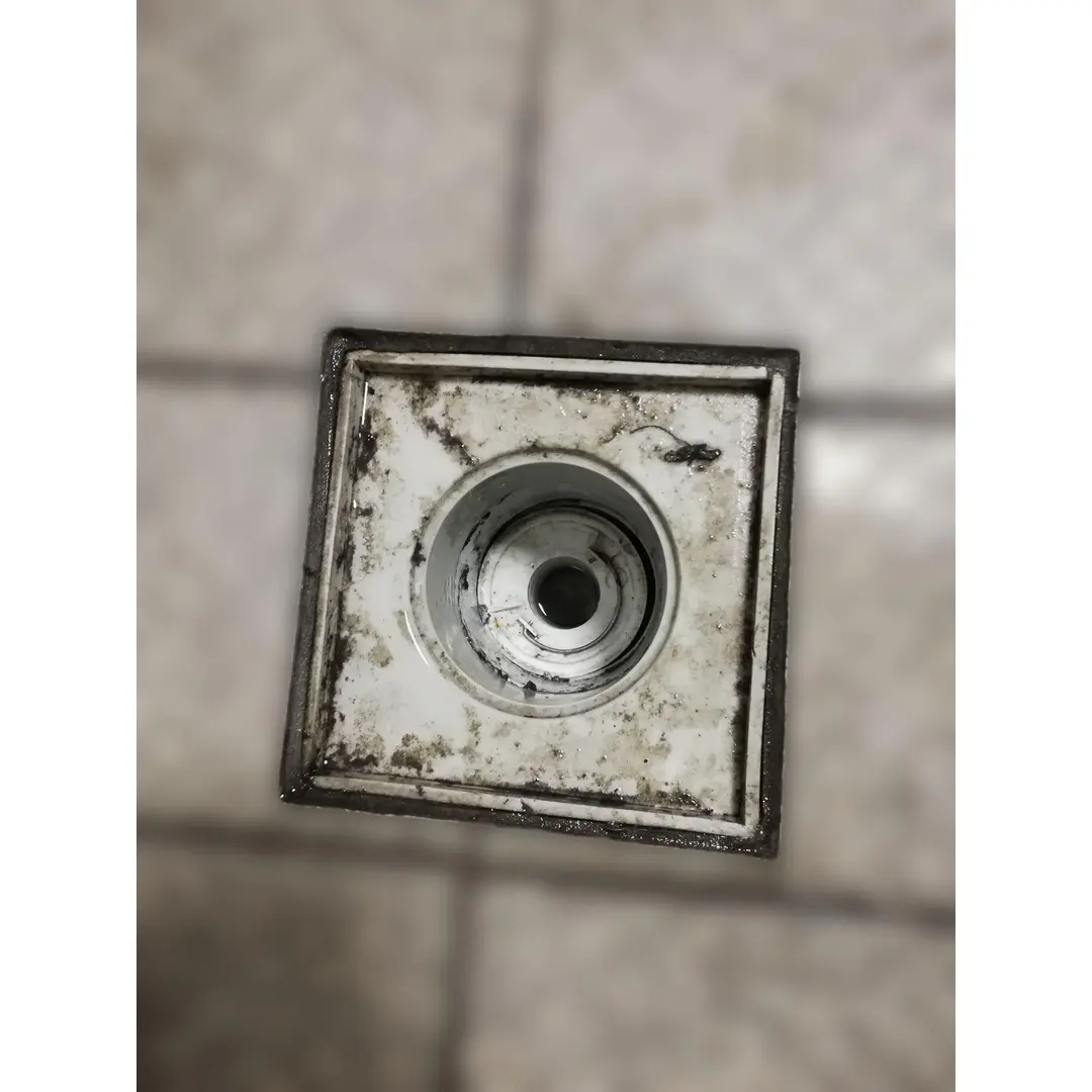 Rollring DN 63 für Geruchver- schlußeinsatz 41-47