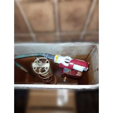 carousel image